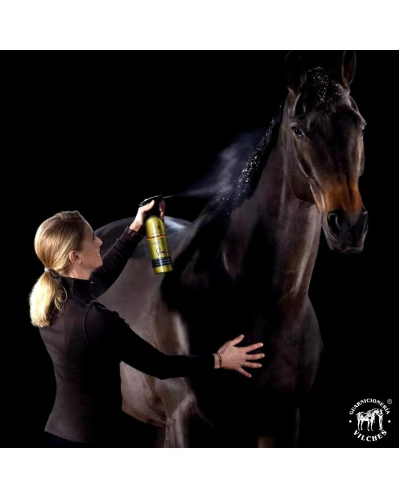 Carr & Day & Martin Canter Mane & Tail Acondicionador Spray GOLD EDITION | 500ml