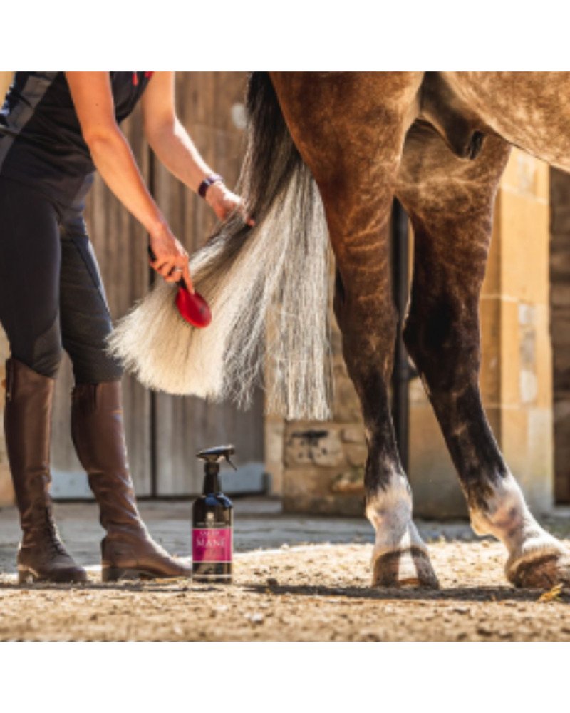 Carr & Day & Martin Canter Mane & Tail Acondicionador Spray 500ml