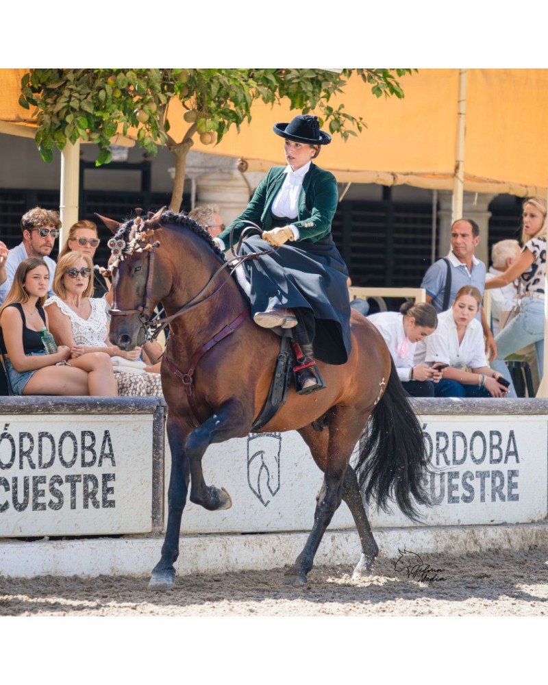 Montura Amazona | Modelo Azahar