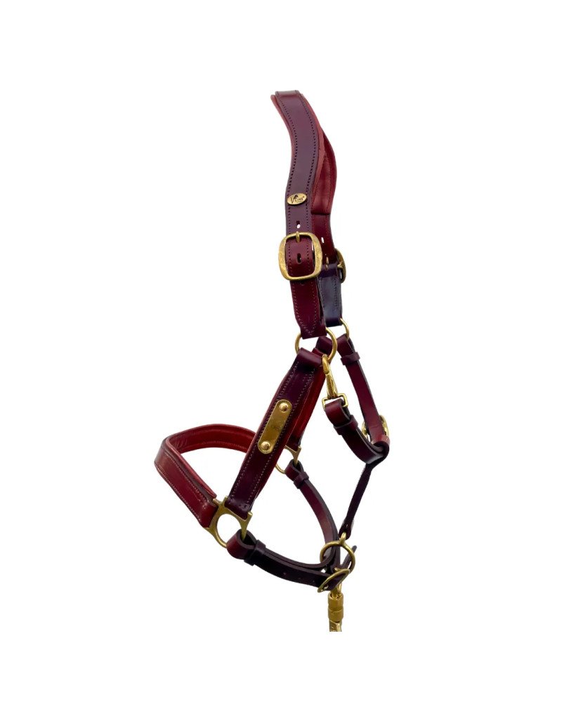Cabezada de cuadra anatómica V-LINE SADDLERY