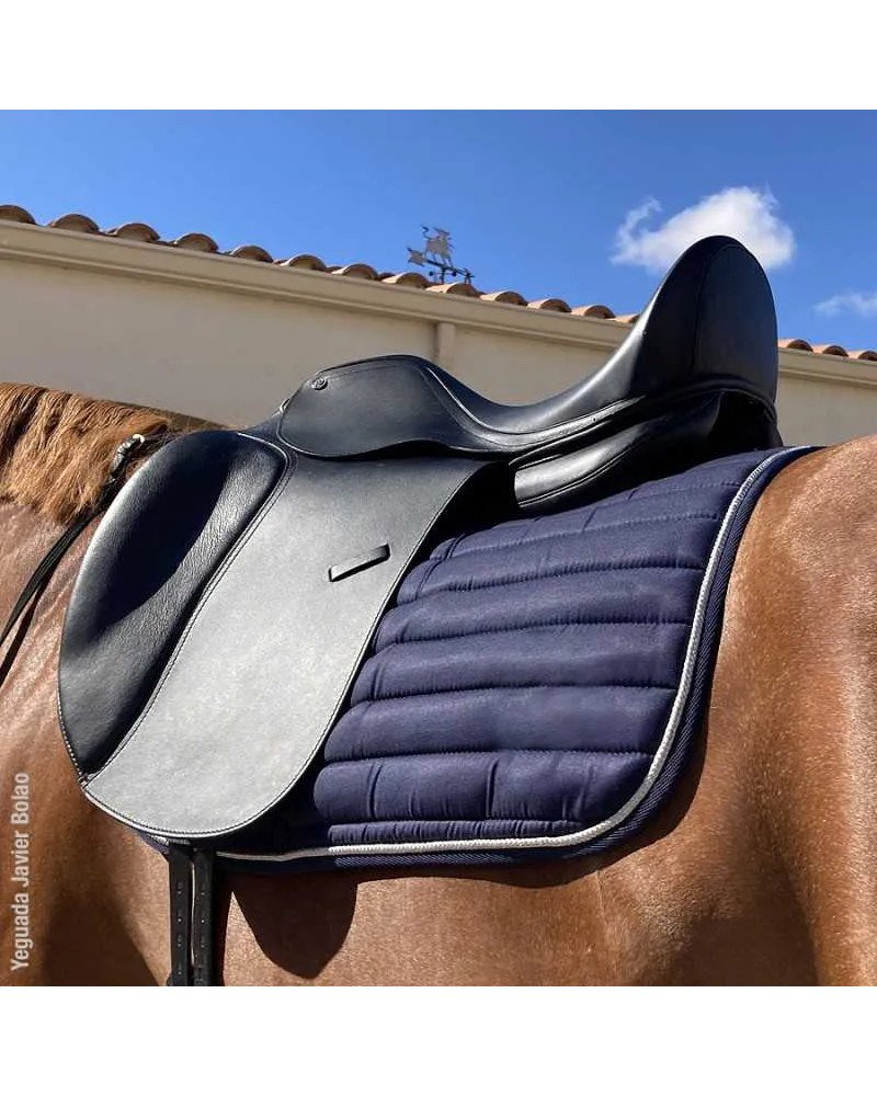 Silla Doma OMEGA Puentes Intercambiables