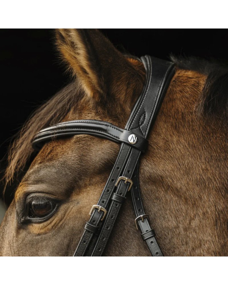 Brida NORTON PRO-BASAL