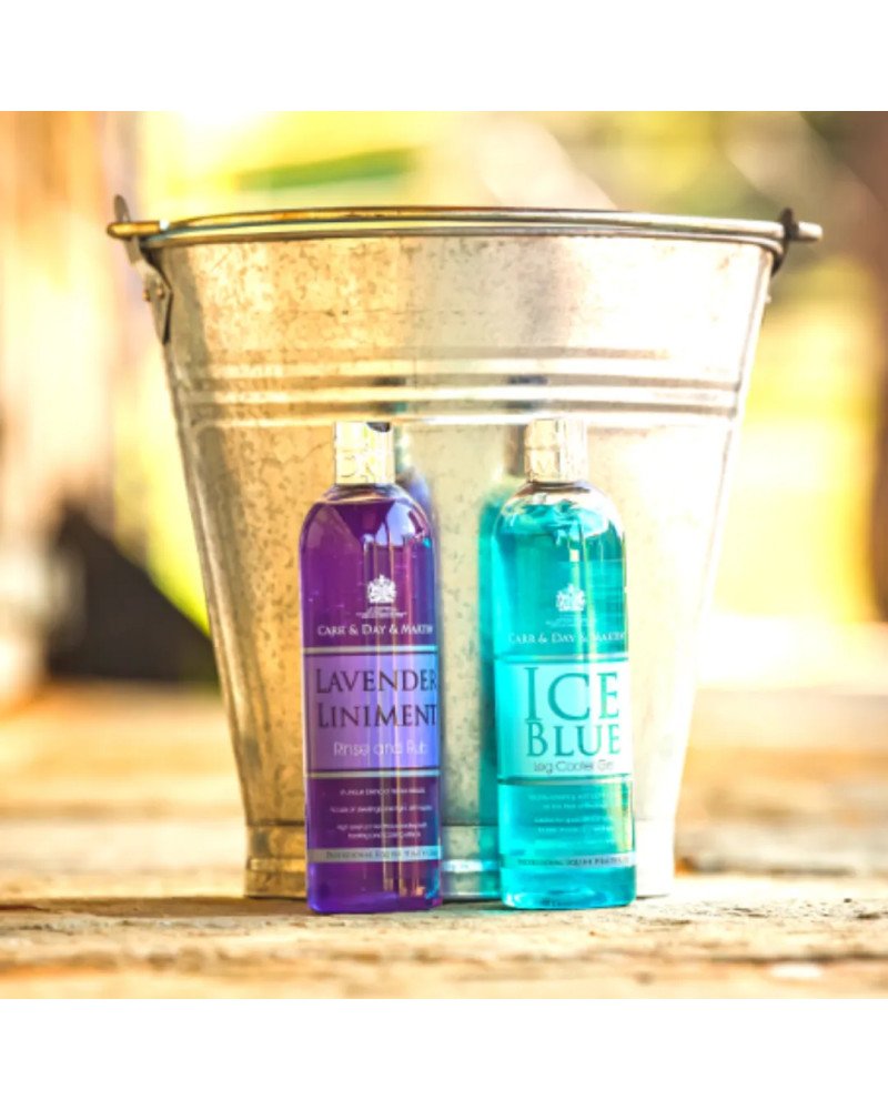 Carr & Day & Martin Gel Tendondes Ice Blue 500ml