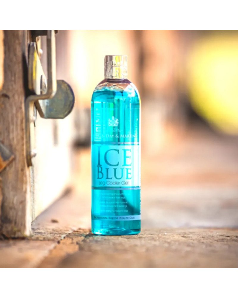 Carr & Day & Martin Gel Tendondes Ice Blue 500ml