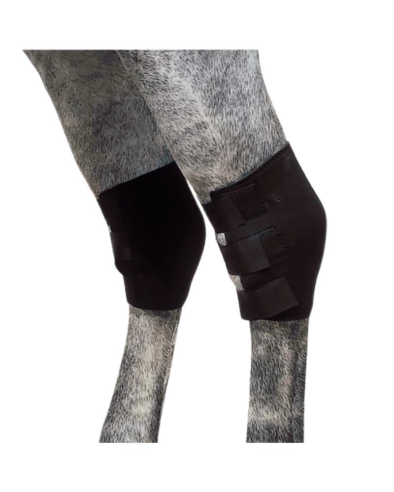 Protector Neopreno TF Corvejón TN-1506 Negro